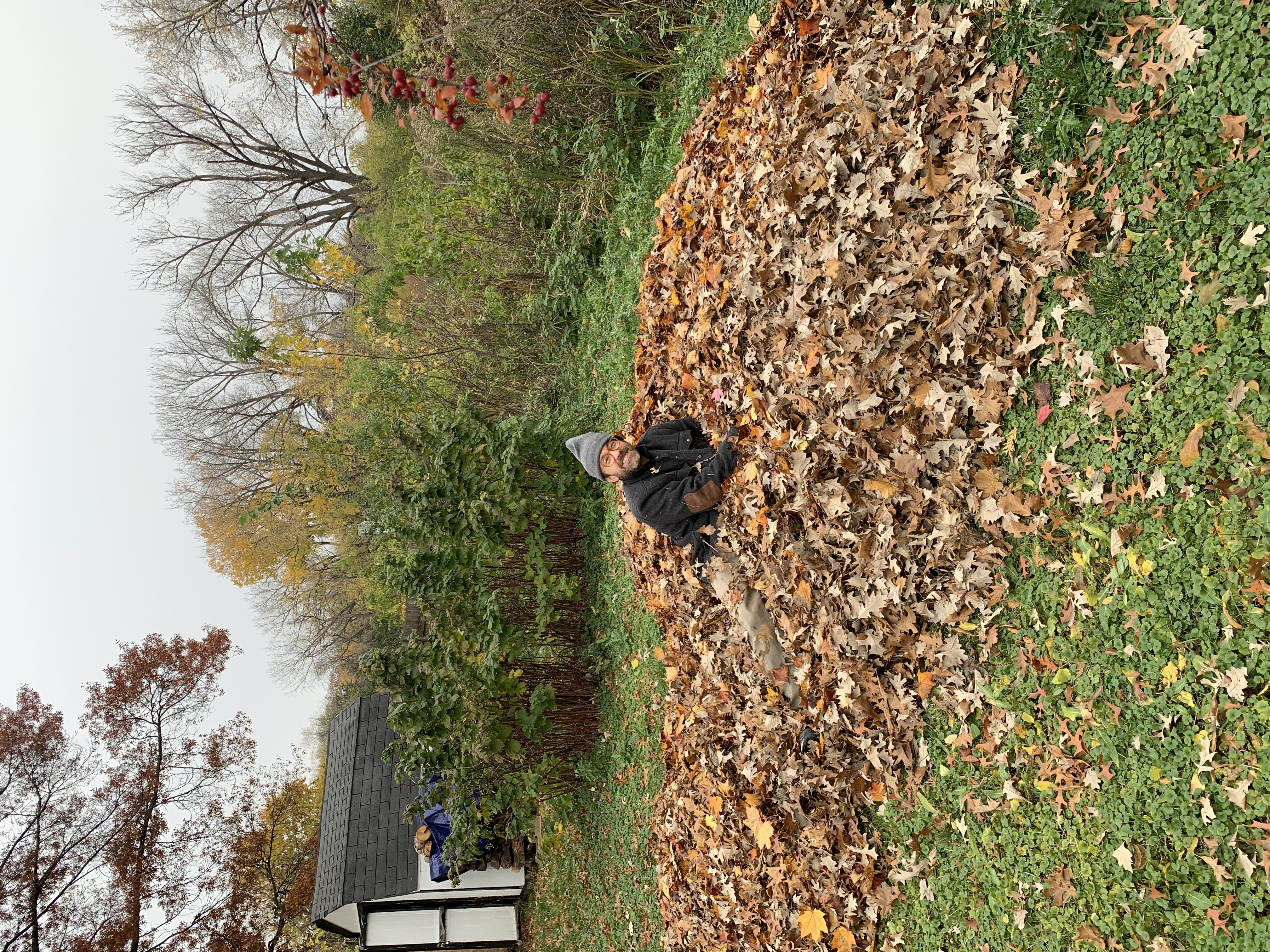 Autumn at our house—lots of raking